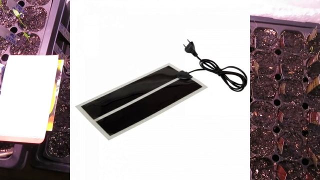 Перца будет много всегда, если соблюдать эти правила! Выращивание перца от и до смотреть онлайн