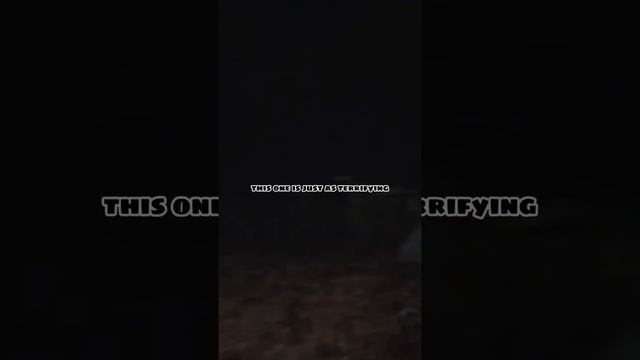 A New UnReal Engine 5 Found Footage Bodycam Horror Game Called Paranormal Tales #paranormal #shorts смотреть онлайн