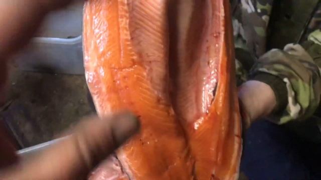 Цвет мяса привезённой форели смотреть онлайн