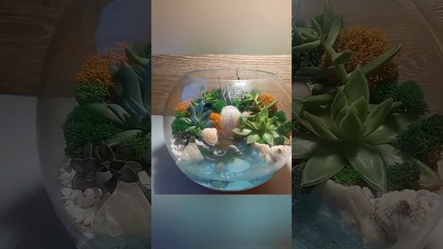 Кусочек живой природы своими руками. Флорариум с водоемом и водопадом смотреть онлайн