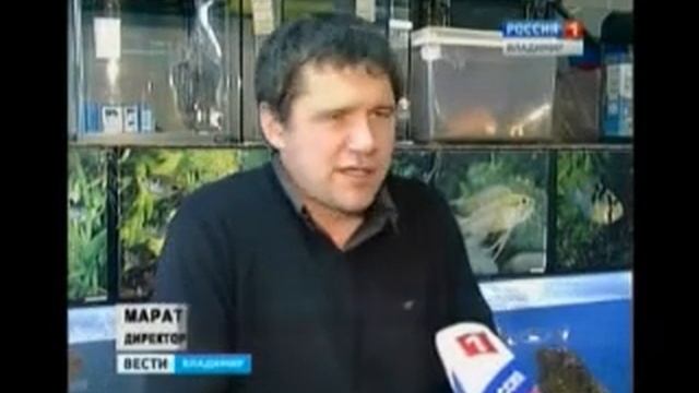 В зоомагазинах вырос спрос на змей смотреть онлайн