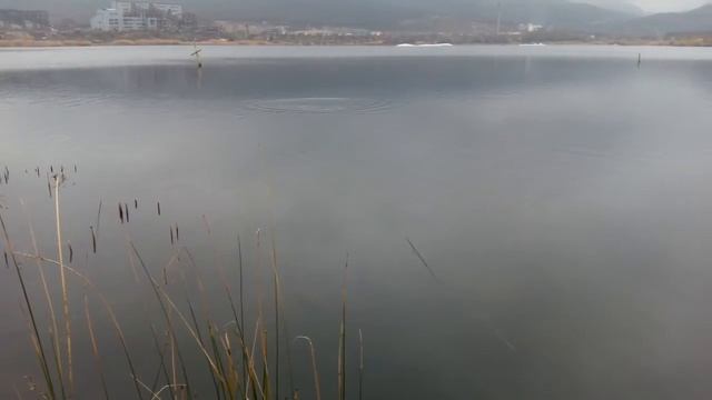 "Хамсин" от Tavrida Baits, 140мм. 60 гр. плавающий. смотреть онлайн
