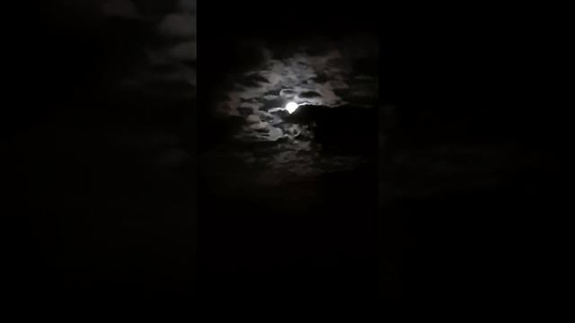 🌚Луна в Родовом поместье смотреть онлайн