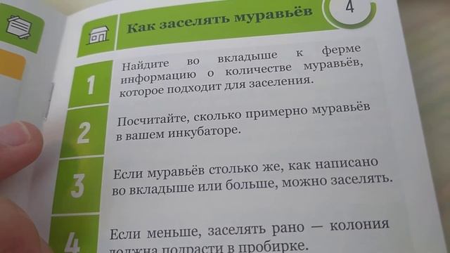 РАСПАКОВКА МУРАВЬИНОЙ ФЕРМЫ АНТПЛЕНЕТ/ МОЙ ПОДАРОК НА 13 ЛЕТ/ ФОРМИКАРИЙ/ МУРАВЬИ смотреть онлайн