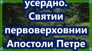 СИЛЬНЕЙШАЯ МОЛИТВА "12 АПОСТОЛОВ" КОТОРАЯ УНИЧТОЖАЕТ ПОРЧИ И СГЛАЗ + УБИРАЕТ ВОЗДЕЙСТВИЕ ПОДКЛАДА.