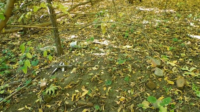 У Можайских прудов в Ростове-на-Дону..я оговорился..31 стрелковой дивизии смотреть онлайн