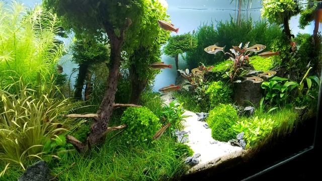 #6. Миллион лет после нашей эры. Категория до 60 литров смотреть онлайн