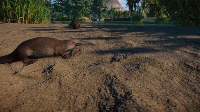? ALL 8 NEW ANIMALS SHOWCASED - Planet Zoo Wetlands Animal Pack [4K 60FPS] смотреть онлайн