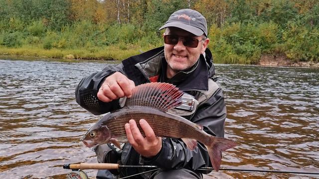 Рыбалка нахлыстом на лесной речке. смотреть онлайн