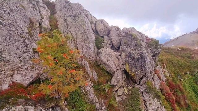 Красная Поляна. Осень. 4к смотреть онлайн