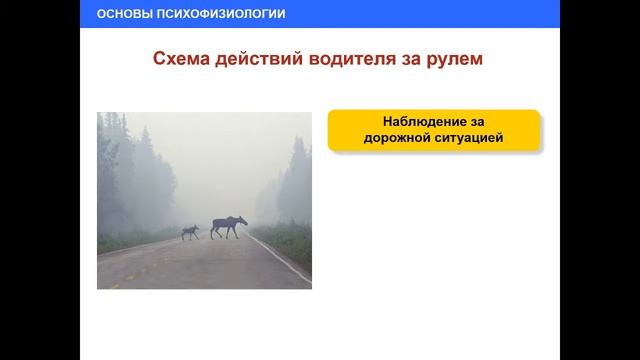 08.02.2019 МСК 19-00 Психофизиологические основы деятельности водителя смотреть онлайн