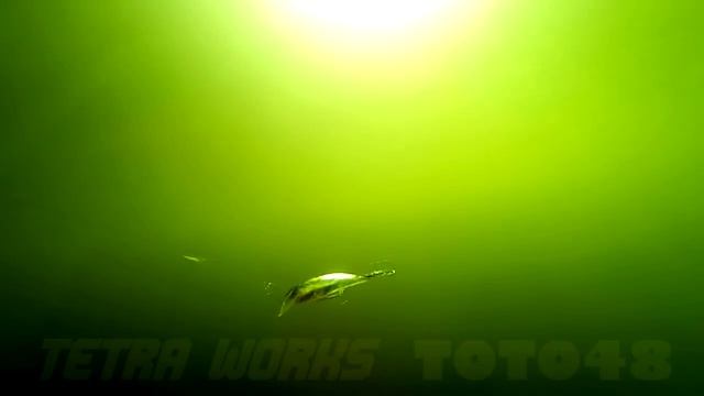 DUO`s Lures in Motion #32: Tetra Works Toto 48 смотреть онлайн