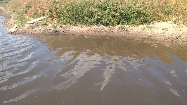 0621 город Орёл Орловский район Малая, Большая Куликовка, промысловый рыбный пруд, Куликовский руче
