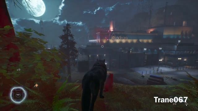 Calm The Guardian Spirits Of The Forest - Werewolf The Apocalypse Earthblood