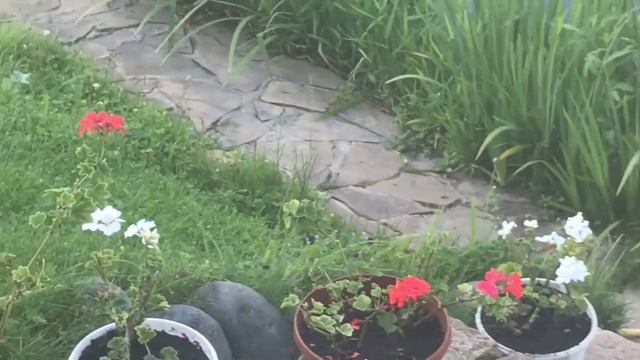 Дача / планы на выходные/ поездки смотреть онлайн