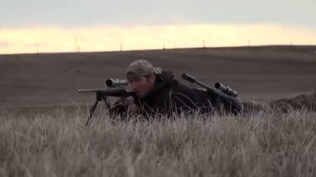 22-250 suppressed vs. unsuppressed смотреть онлайн