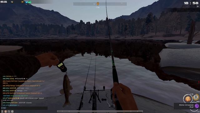 Fisher Online: Зимняя Сказка, Три гольяна