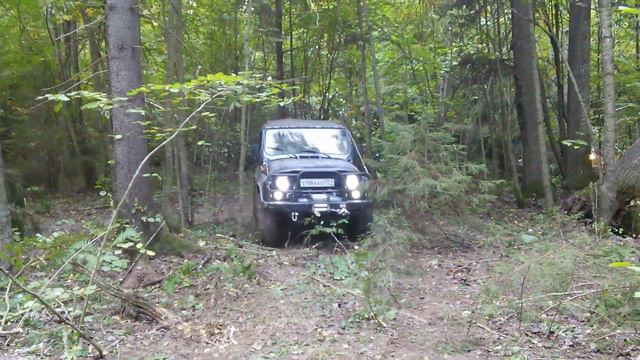 Терра Инкогнита Цветок Папоротника 13 смотреть онлайн