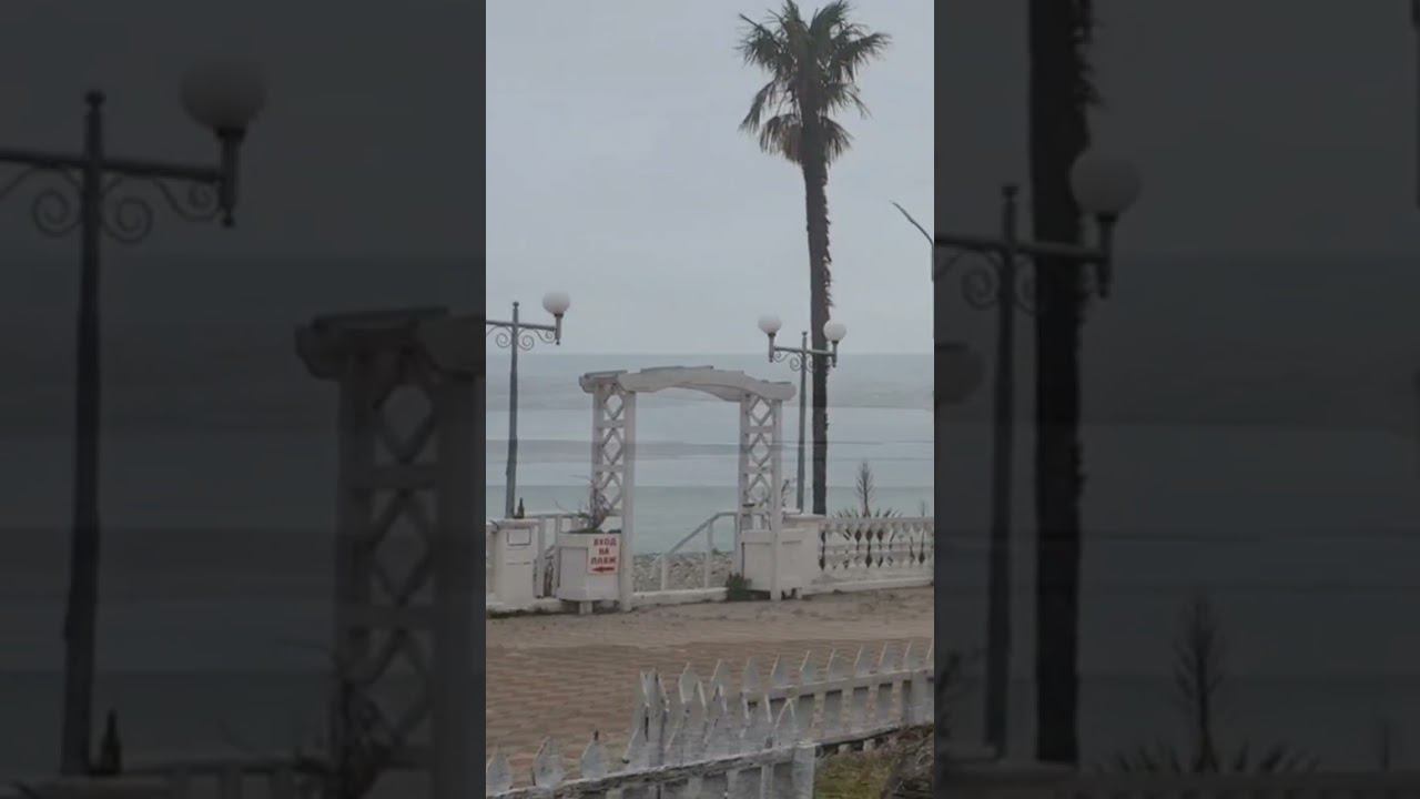 16.03.23 г. Погода Лазаревское. Сегодня туманно. #shorts #погодасочи #погодалазаревское #сочи смотреть онлайн