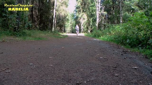 СКЛАДНОЙ ГОРНЫЙ ВЕЛОСИПЕД STELS Pilot 970 MD 26 V021 (2018) / ОБЗОР ГОРНОГО ВЕЛОСИПЕДА смотреть онлайн