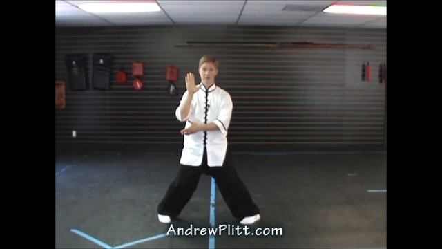 (67/93) Yang Tai Chi 108 Form: Grasp Sparrow's Tail (Yang Shi Taijiquan) смотреть онлайн