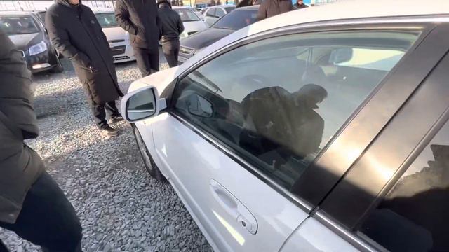 Mashina Bozor Lasette Jentra Narxlari | Xorazm Mashina Bozor