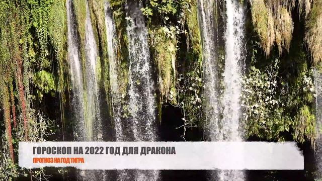 Что ждет Дракона в 2022 году - гороскоп на год Черного Водяного Тигра смотреть онлайн