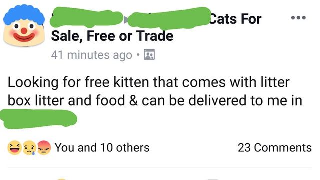 r/ChoosingBeggars "I'm looking for a free kitten & cat food" #1 - Agent Tree Man #1 смотреть онлайн