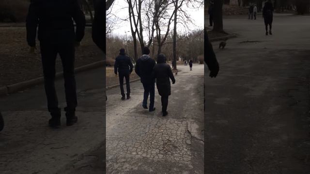 Такса і мяч смотреть онлайн