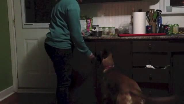 Java - Open and Close Cupboard смотреть онлайн