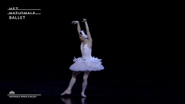 The Dying Swan (performance clip) - Dutch National Ballet смотреть онлайн