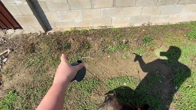 встреча МАСИ с ДЖУНОЙ в ПАПИНОМ палисаднике и куда делась БЕЖКА смотреть онлайн