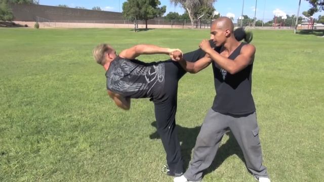 Real White Crane Kung Fu - Top 10 Crane Fighting Moves!