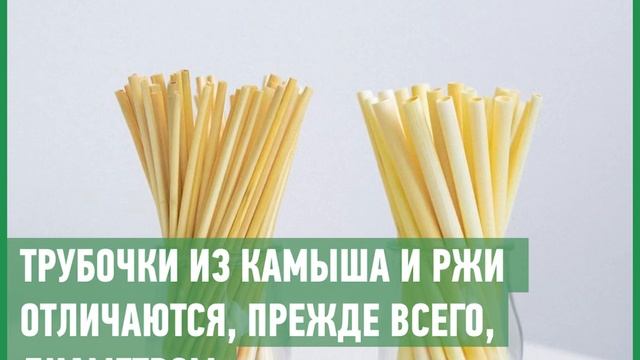 Вместо пластиковых: в Украине делают трубочки для напитков из стеблей ржи и камыша смотреть онлайн