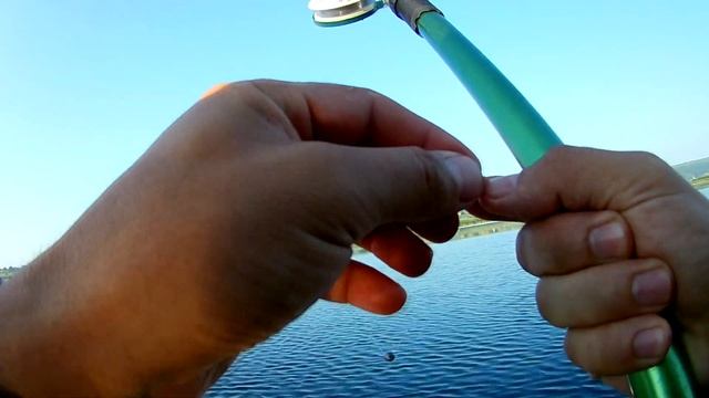 Активный клев на поплавочную удочку в утреннюю зорьку. смотреть онлайн