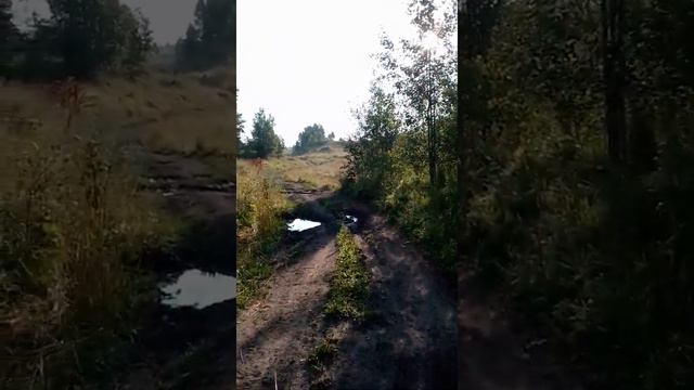 Берегите природу | Иду на гору чтоб убрать мусор смотреть онлайн