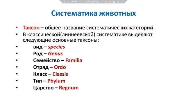 История зоологии. Цель и задачи предмета. Протозоология. смотреть онлайн