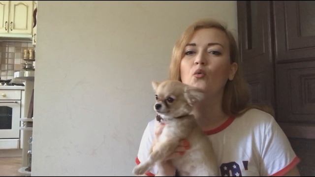 ЛЕТНИЕ НОВОСТИ: Духи, чехол для iPhone, орхидеи смотреть онлайн