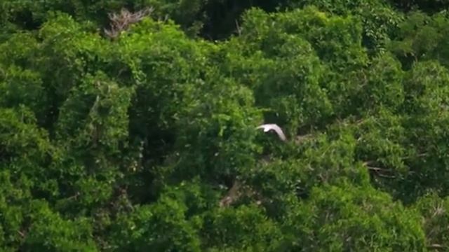 Владимир Чиж. Зов. #авторскаяпесня#лирика#стихи#познание смотреть онлайн