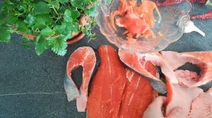 Готовим пять вариантов  блюд из одной форели