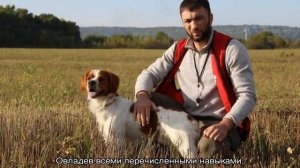 Бретонский эпаньоль (бретон): описание породы