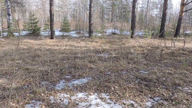 "Весна просыпается" смотреть онлайн