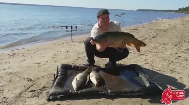 Сазан-Обь-Море эмоций (первый дикий сазан)