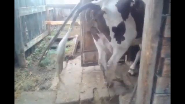 ТИПИЧНАЯ ИГРА В DOTA 2 | Дота 2 Гайд смотреть онлайн