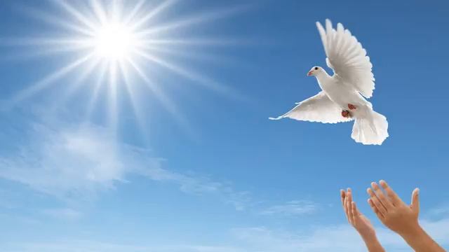 ТРАДИЦИИ,ПРИМЕТЫ КРЕЩЕНИЯ ГОСПОДНЯ . смотреть онлайн