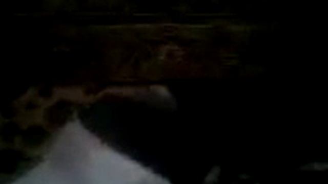 Брат прикалуется на братом покамисть он спит.mp4 смотреть онлайн