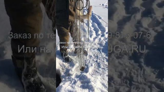 Рыбалка на пружинную хапугу. р. Обор смотреть онлайн