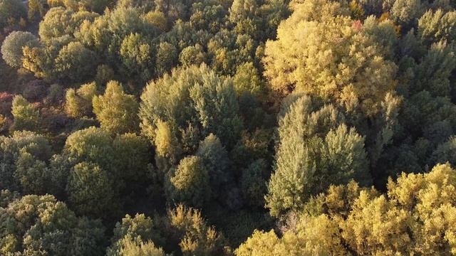 End of September / Конец Сентября - DJI Mavic Mini смотреть онлайн