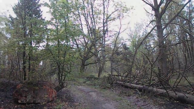 Эхо Чернобыля.Заброшенный рай. Санаторий Карховка//брянская область//новозыбков смотреть онлайн