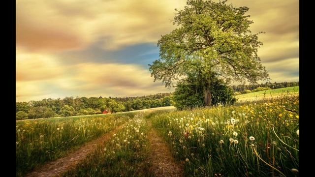 учимся правильно излагать свои мысли на камеру смотреть онлайн